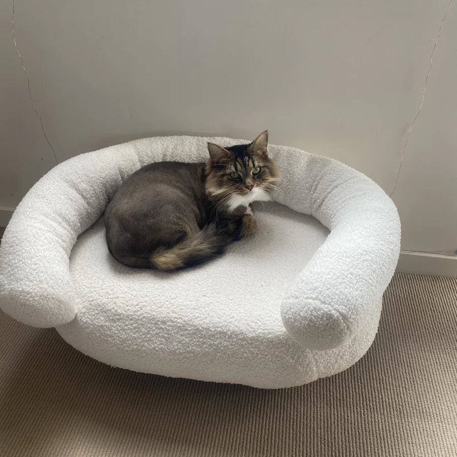King the cat