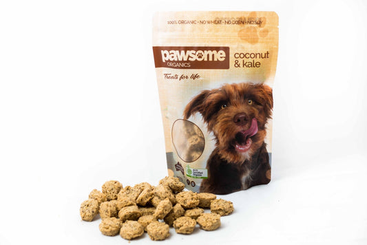 Pawsome Organics Natural Coconut & Kale Dog Treats for skin, coat, and energy support in 200g package.