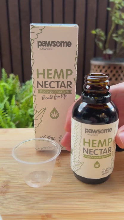 Pawsome Organics Pure Hemp Seed Oil for Dogs & Cats - Coat & Wellness - 100ml