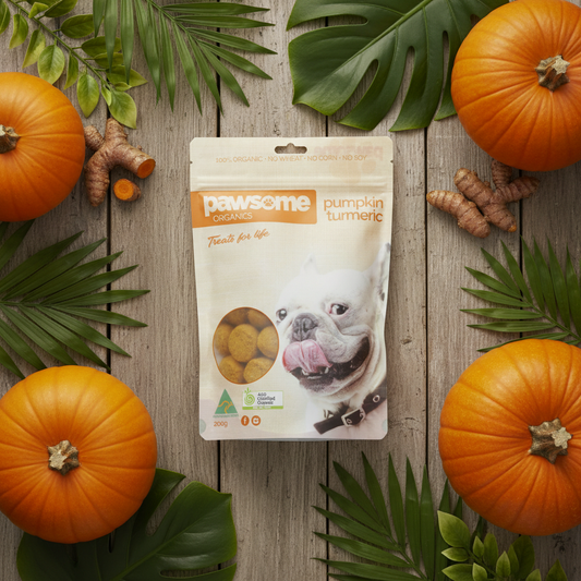 Pumpkin Turmeric Treats — Nature Styled