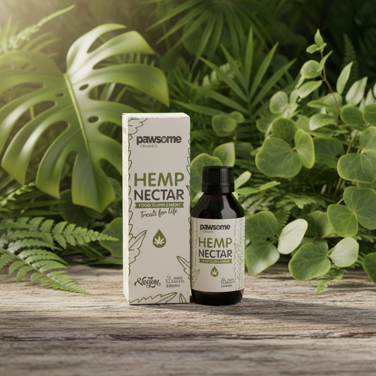 Pure Hemp Seed Oil — Nature Styled